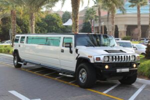 The Ultimate NJ Bachelor Party Limousine Service Guide: Plan a Night to Remember